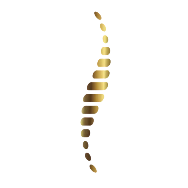 Bild zu den Informationen zu OM Physiotherapie